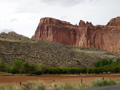 REEF ROCK